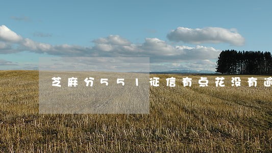 芝麻分551征信有点花没有逾期 芝麻分551征信有点花没有逾期