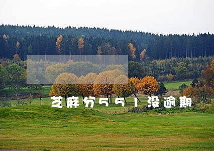 芝麻分551没逾期 芝麻分551没逾期