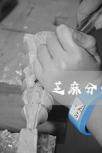 芝麻分568花呗逾期了 芝麻分568花呗逾期了