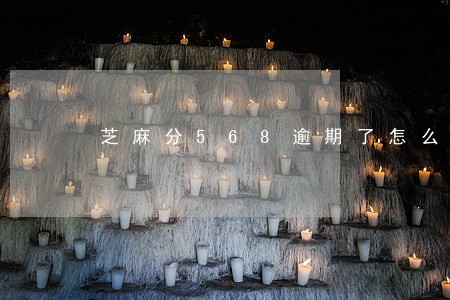 芝麻分568逾期了怎么办 芝麻分568逾期了怎么办
