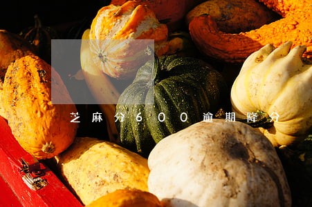 芝麻分600逾期降分 芝麻分600逾期降分