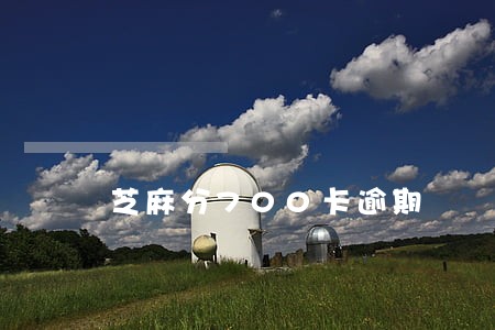 芝麻分700卡逾期