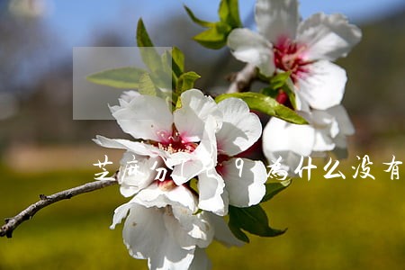 芝麻分729为什么没有逾期 芝麻分729为什么没有逾期