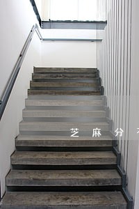 芝麻分不小心逾期了 芝麻分不小心逾期了