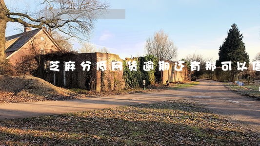 芝麻分低网货逾期还有那可以借 芝麻分低网货逾期还有那可以借
