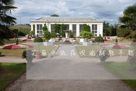 芝麻分低花呗逾期能不能办信用卡 芝麻分低花呗逾期能不能办信用卡