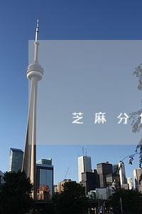 芝麻分低逾期怎么办 芝麻分低逾期怎么办