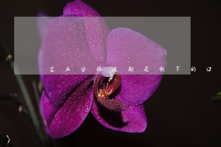 芝麻分低逾期还能下的口子 芝麻分低逾期还能下的口子