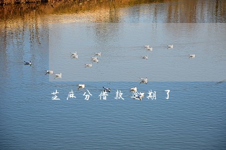 芝麻分借款逾期了 芝麻分借款逾期了