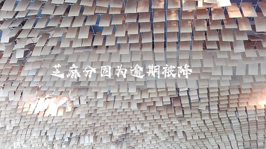 芝麻分因为逾期被降 芝麻分因为逾期被降