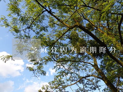 芝麻分因为逾期降分 芝麻分因为逾期降分