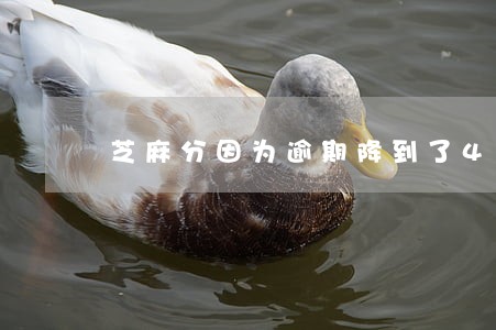 芝麻分因为逾期降到了495 芝麻分因为逾期降到了495