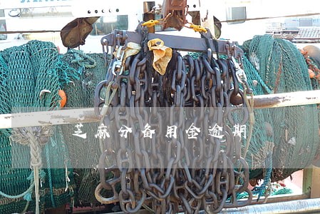 芝麻分备用金逾期 芝麻分备用金逾期