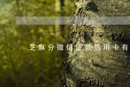 芝麻分微信贷款信用卡有逾期