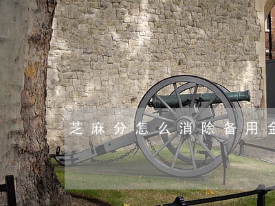 芝麻分怎么消除备用金逾期 芝麻分怎么消除备用金逾期