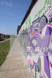 芝麻分恢复到逾期前的分数了 芝麻分恢复到逾期前的分数了