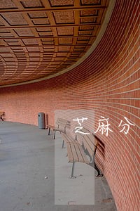 芝麻分掉了没有逾期 芝麻分掉了没有逾期