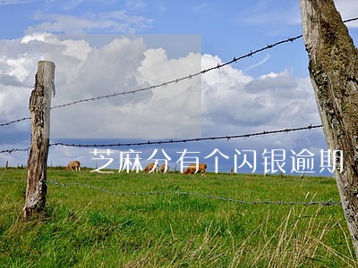 芝麻分有个闪银逾期 芝麻分有个闪银逾期