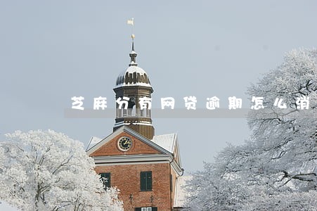 芝麻分有网贷逾期怎么消除 芝麻分有网贷逾期怎么消除