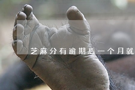 芝麻分有逾期后一个月就涨一分 芝麻分有逾期后一个月就涨一分