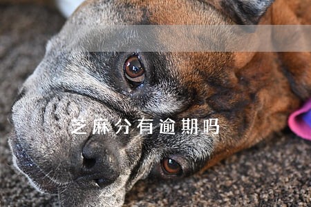 芝麻分有逾期吗 芝麻分有逾期吗