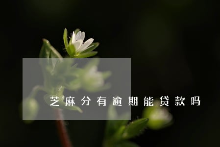 芝麻分有逾期能贷款吗 芝麻分有逾期能贷款吗
