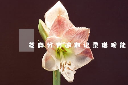 芝麻分有逾期记录借呗能取吗 芝麻分有逾期记录借呗能取吗
