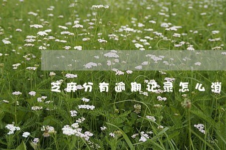 芝麻分有逾期记录怎么消除 芝麻分有逾期记录怎么消除