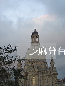 芝麻分有逾期还完还会加分吗 芝麻分有逾期还完还会加分吗