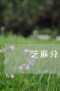 芝麻分有逾期还能提升吗 芝麻分有逾期还能提升吗
