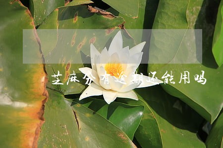 芝麻分有逾期还能用吗 芝麻分有逾期还能用吗