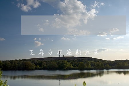 芝麻分期逾期后果 芝麻分期逾期后果