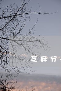芝麻分来分期逾期 芝麻分来分期逾期