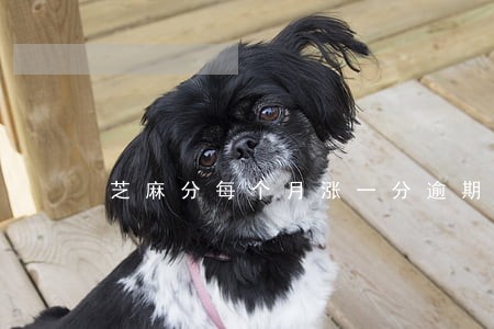 芝麻分每个月涨一分逾期过 芝麻分每个月涨一分逾期过