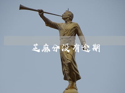 芝麻分没有逾期