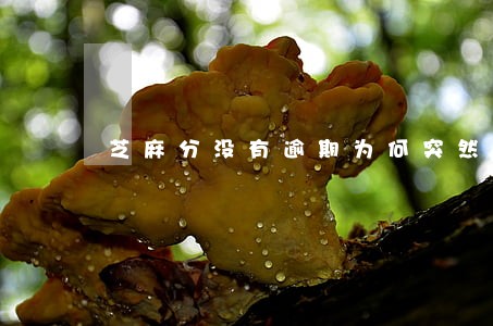 芝麻分没有逾期为何突然降分 芝麻分没有逾期为何突然降分