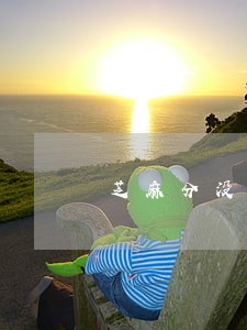 芝麻分没有逾期借不了 芝麻分没有逾期借不了