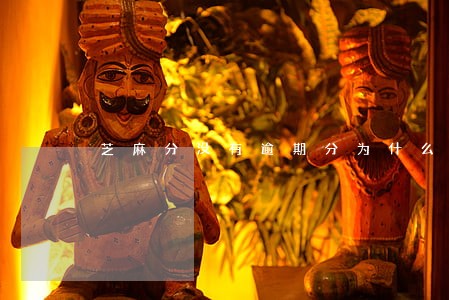 芝麻分没有逾期分为什么不涨了 芝麻分没有逾期分为什么不涨了