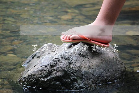 芝麻分消除逾期记录 芝麻分消除逾期记录