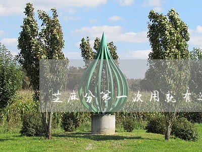 芝麻分第一次用就有逾期会怎样 芝麻分第一次用就有逾期会怎样