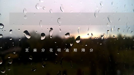 芝麻分花呗逾期降分 芝麻分花呗逾期降分