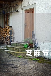 芝麻分越换逾期 芝麻分越换逾期