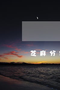 芝麻分较差又逾期的黑户贷款 芝麻分较差又逾期的黑户贷款