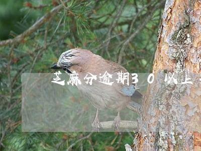 芝麻分逾期30以上多久可以恢复 芝麻分逾期30以上多久可以恢复