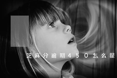 芝麻分逾期450怎么提高
