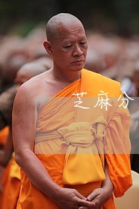 芝麻分逾期一天严重吗 芝麻分逾期一天严重吗