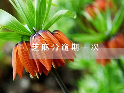 芝麻分逾期一次 芝麻分逾期一次