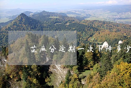 芝麻分逾期一次下降多少 芝麻分逾期一次下降多少