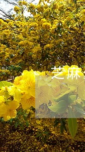 芝麻分逾期一般多久涨回来 芝麻分逾期一般多久涨回来