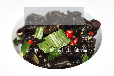 芝麻分逾期上征信吗